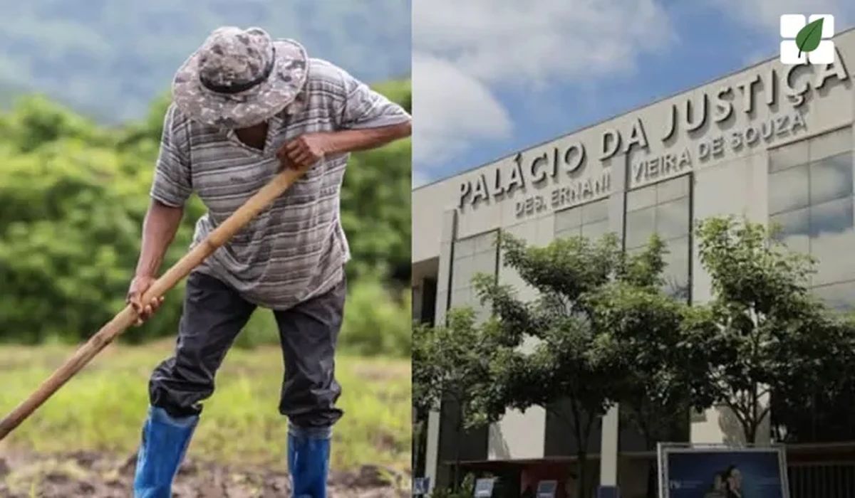 TJMT rejeita impenhorabilidade de propriedade rural dada em garantia fiduciária por falta de prova de exploração familiar