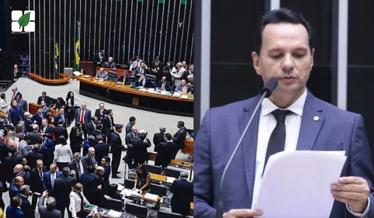 Câmara aprova projeto que obriga LTDA. de grande porte a divulgar demonstrações financeiras