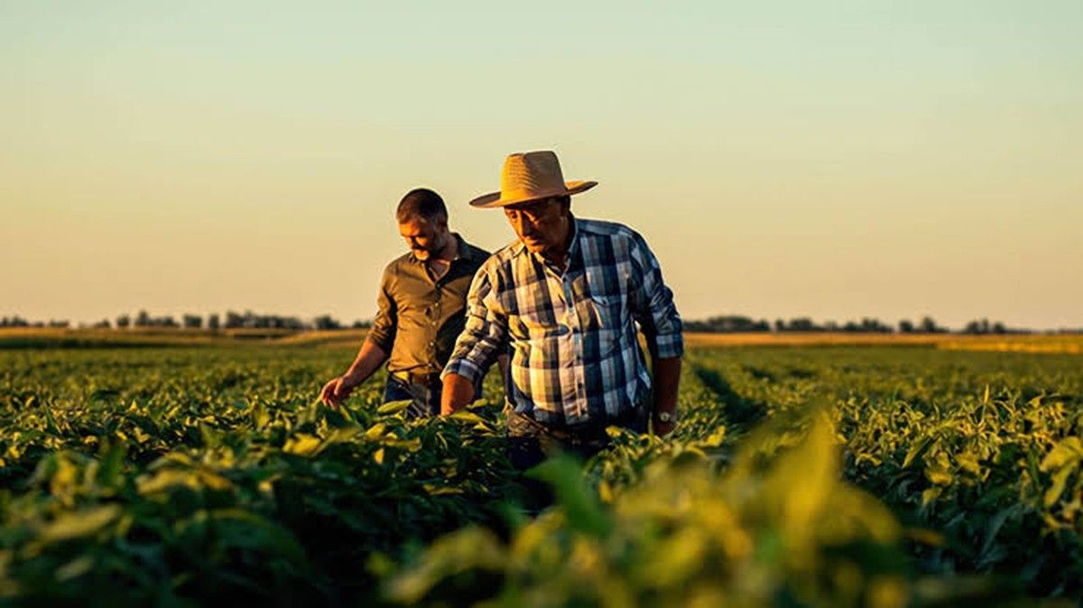 Sucessão familiar: O desafio silencioso do Agronegócio Brasileiro