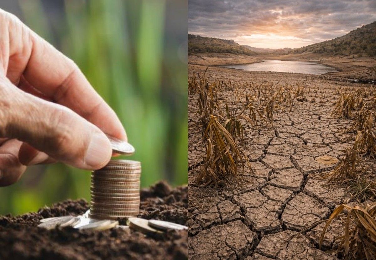 Justiça do PR suspende cobrança de operações de crédito rural após crise hídrica