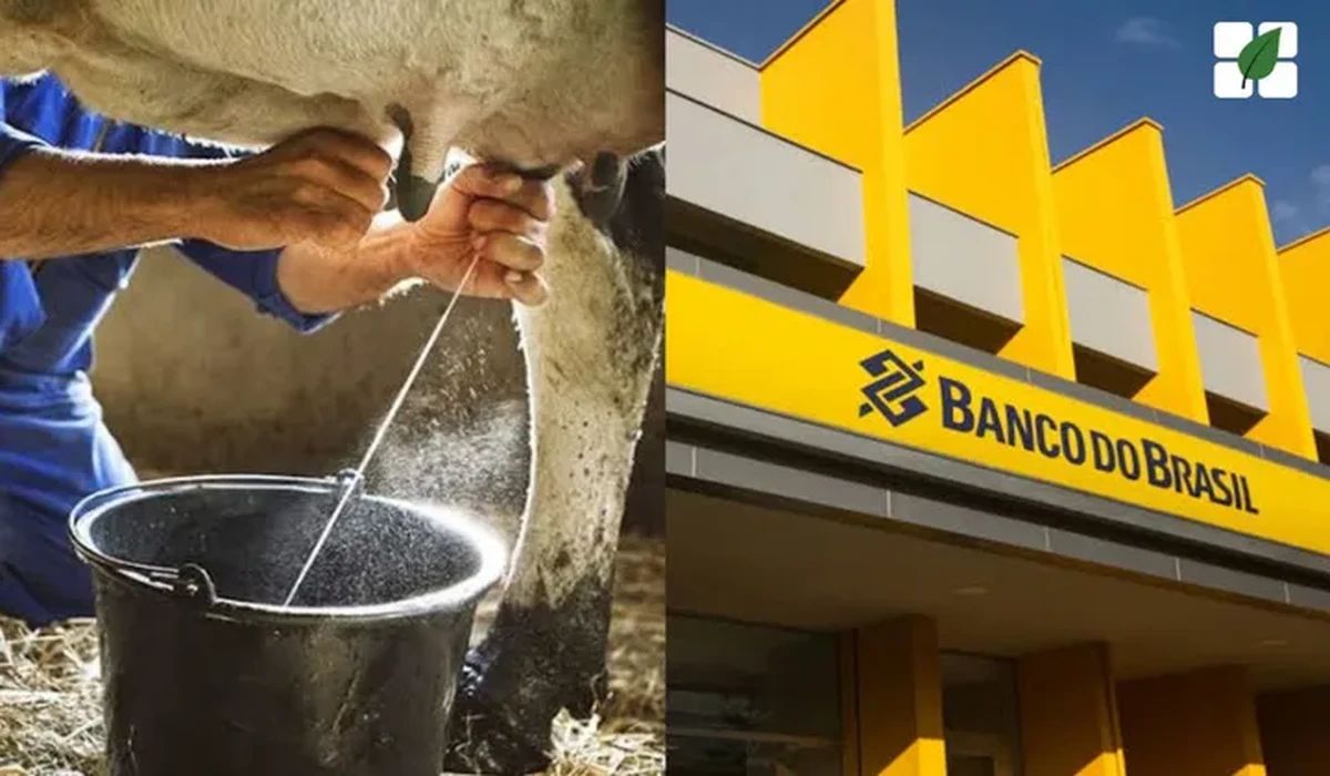 Dívida rural de R$ 2 milhões é suspensa após produtor demonstrar dificuldades na capacidade do pagamento