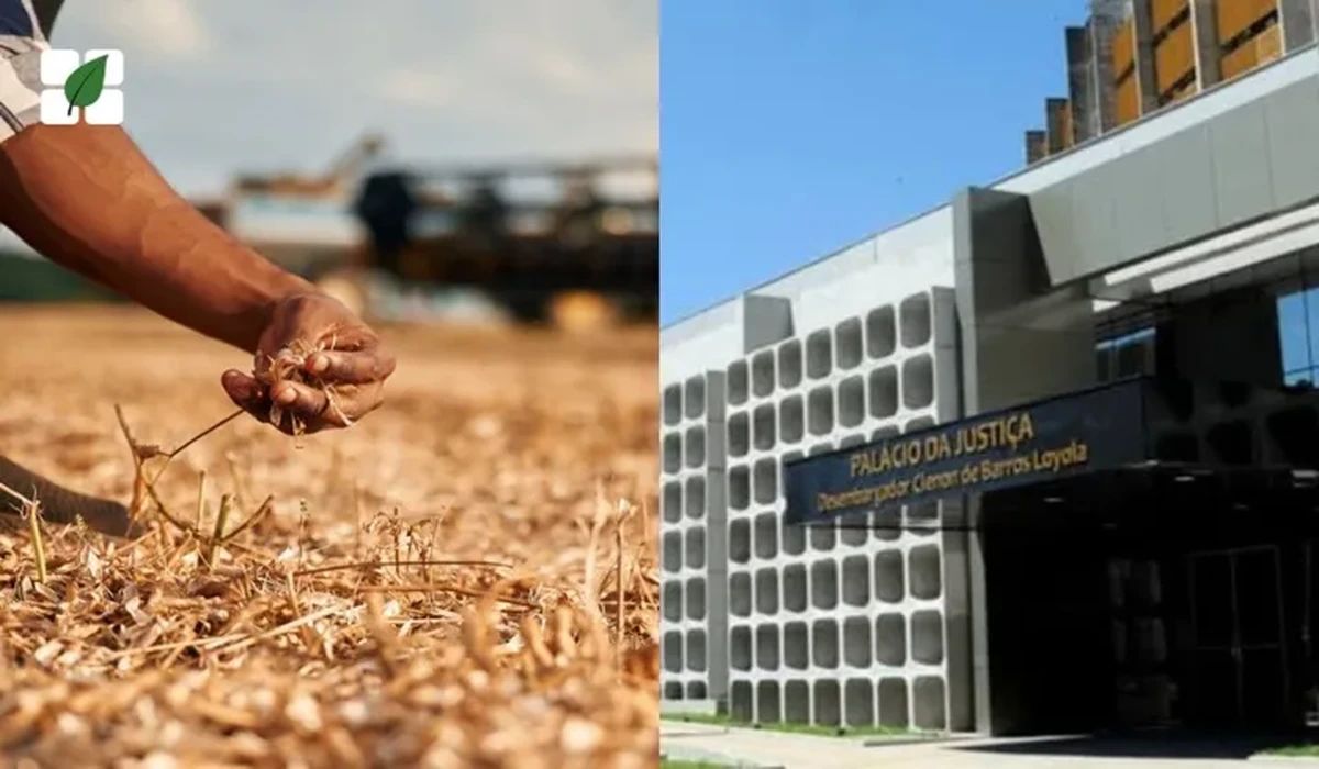 TJGO confirma alongamento dívida rural por frustração safra