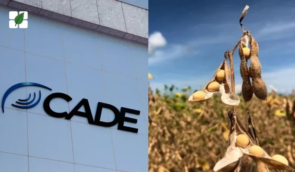 Cade decidirá destino da Moratória da Soja em sessão marcada para 30 de setembro