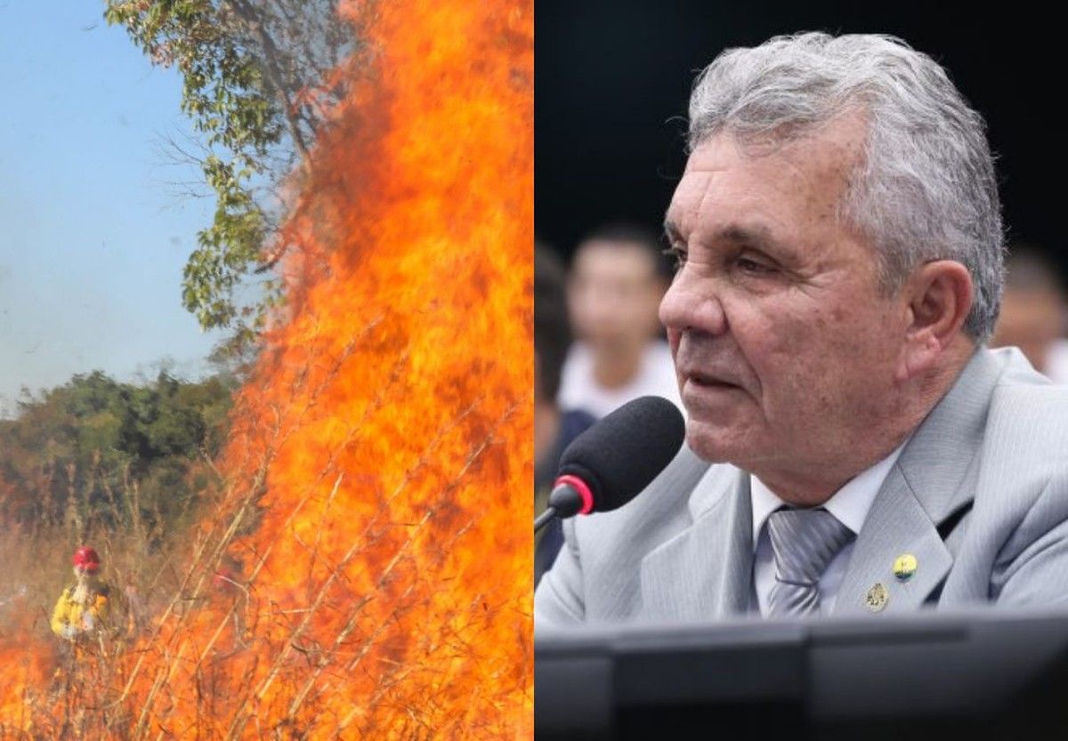 Comissão aprova aumento de pena para quem provocar incêndios em vegetação, mas exclui produtor que usa fogo controlado