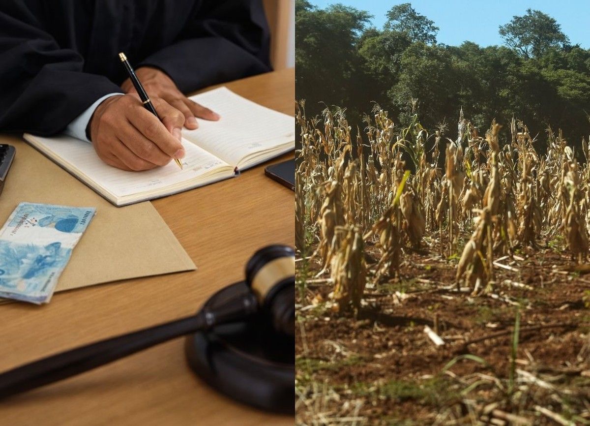 Justiça Federal defere tutela de urgência e suspende cobrança de crédito rural da CEF em Goiás