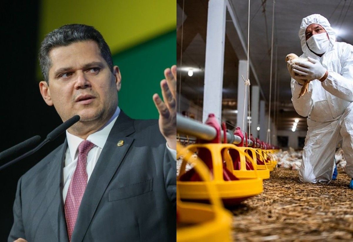 Lei 15.347/2026 resultante da MP 1312/2025 que destina R$ 83,5 mi para ações defesa agropecuária foi publicada