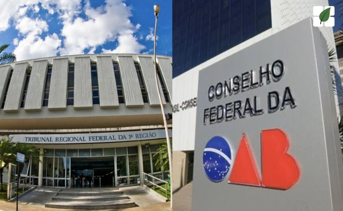 TRF-1 realiza primeira reunião técnica do IRDR 94 sobre prescrição de sanções ambientais com participação da OAB Nacional