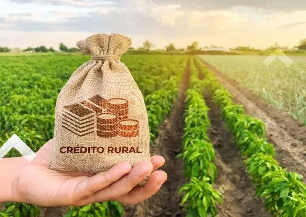 Bancos exigem governança Estruturada para liberação do Crédito Rural