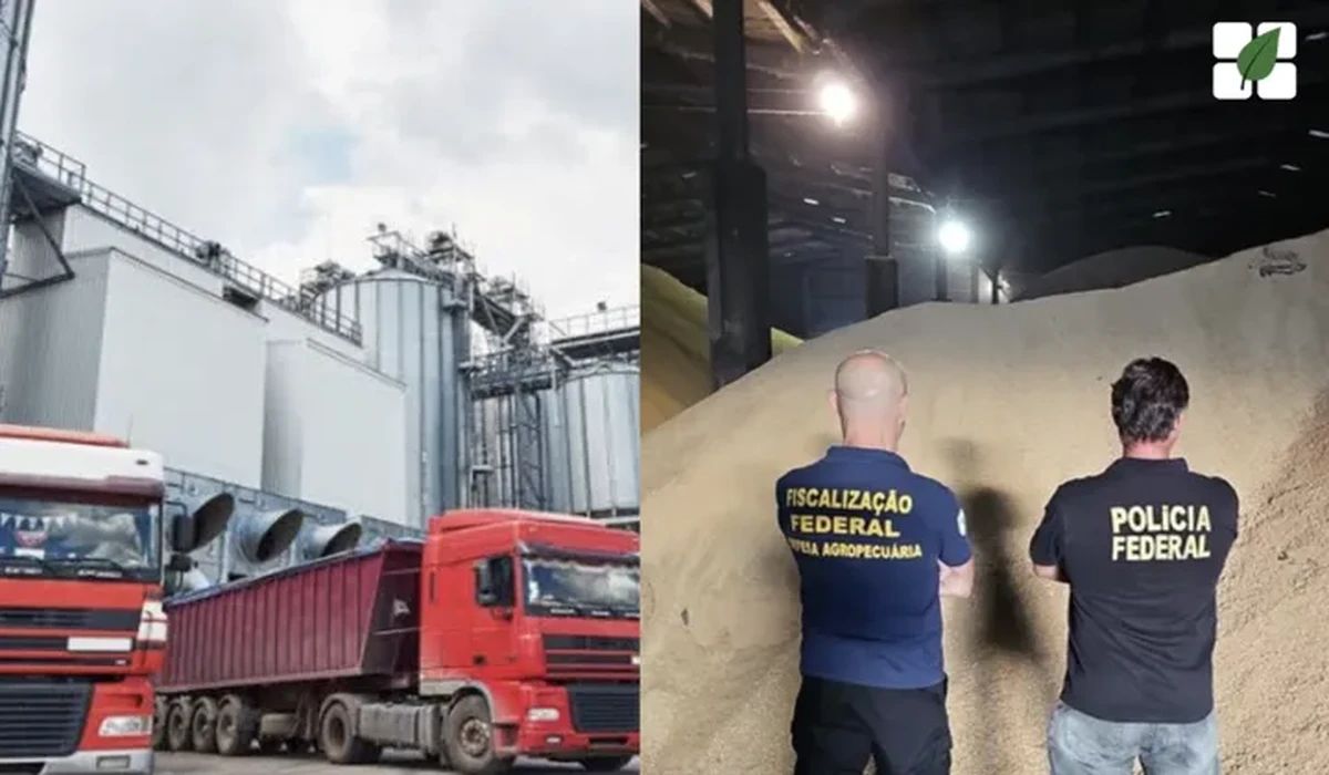 TRF4 condena por contrabando de farelo de soja sem autorização do Mapa