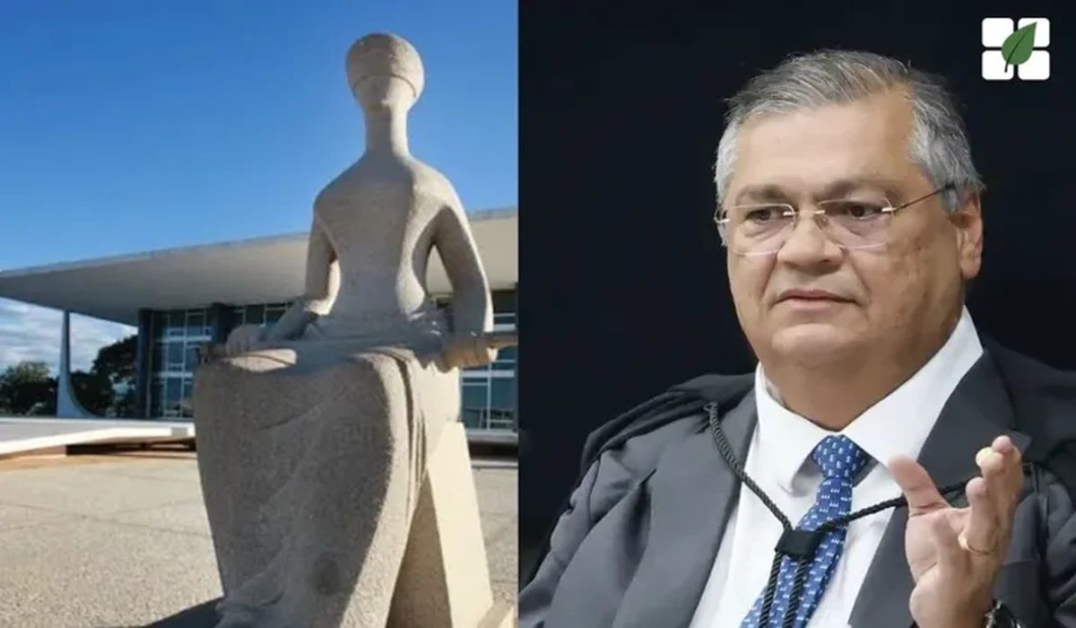 STF: Dino suspende todos os processos sobre Moratória da Soja até julgamento definitivo