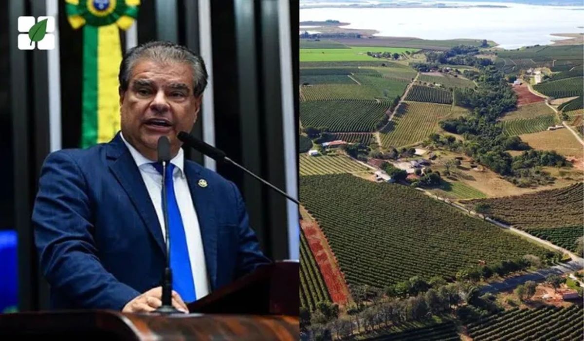 Proprietários rurais ganham mais cinco anos para regularizar imóveis em faixa de fronteira