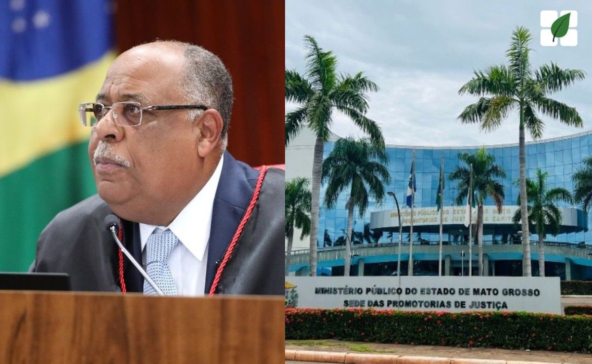 STJ reconhece dano moral coletivo em ações ambientais do MPMT