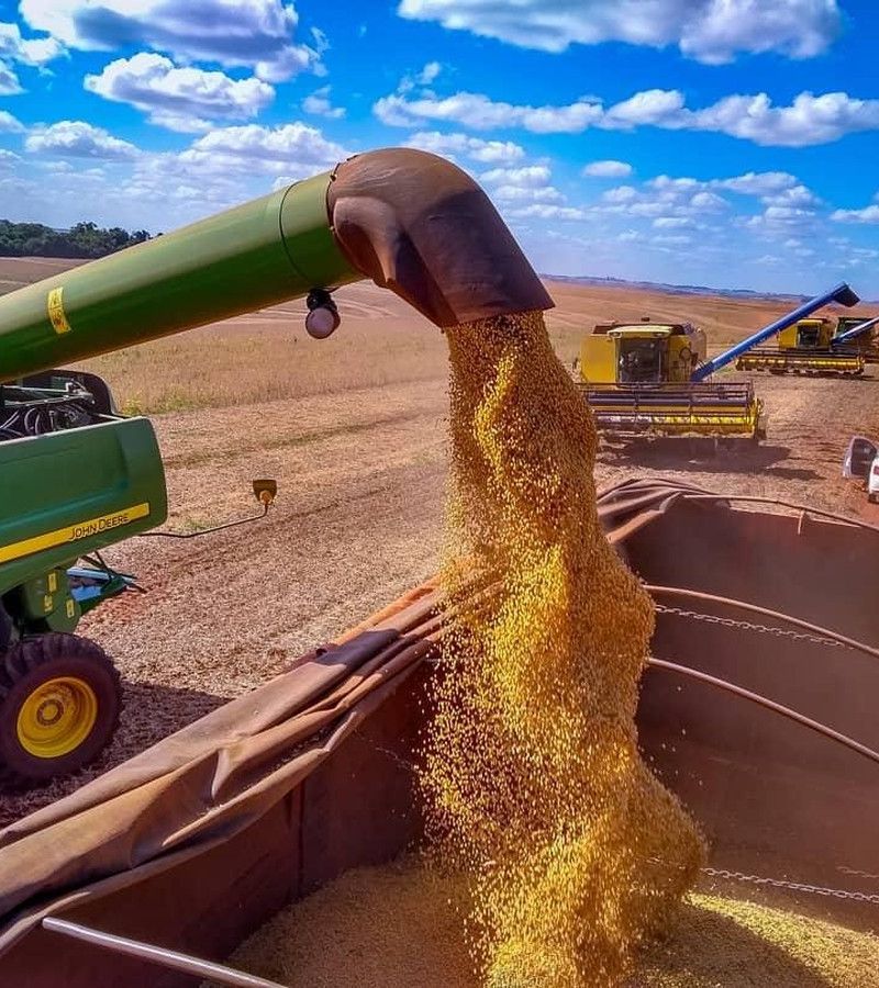 Grãos podem ser penhorados na recuperação judicial do produtor rural?