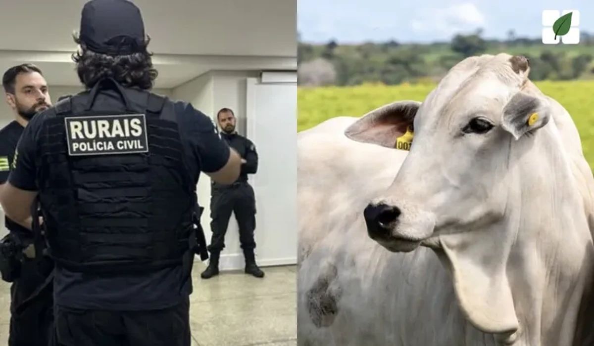 Ex-servidor da Agrodefesa é suspeito de envolvimento em fraude de R$ 100 mil em movimentações fictícias de bovinos em Goiás