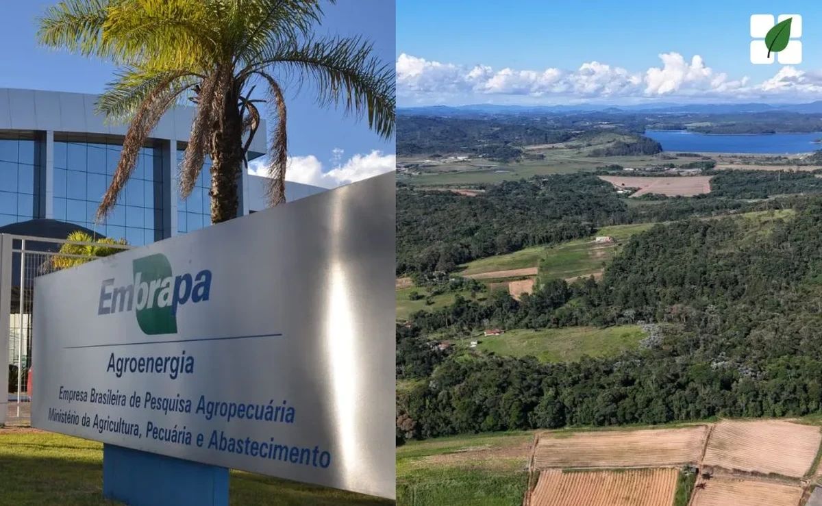 Embrapa apresenta à COP 30 estudo que comprova protagonismo do produtor rural na conservação ambiental brasileira