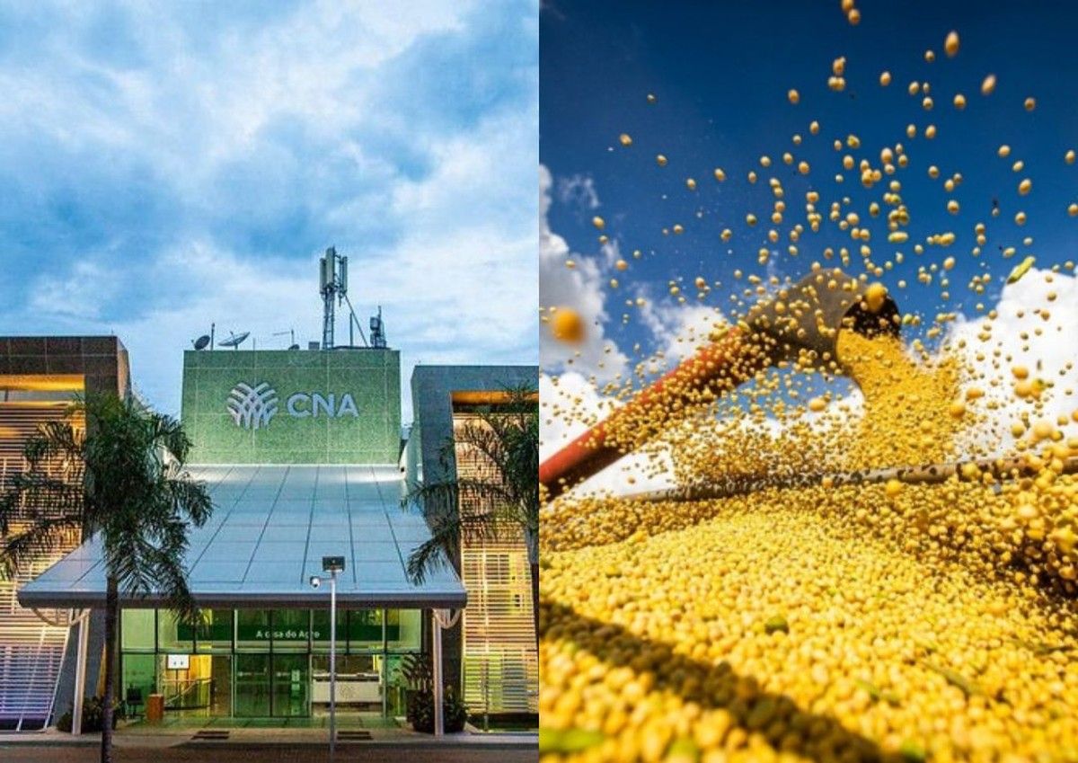 CNA inicia encontros regionais para reunir propostas ao Plano Agrícola e Pecuário 2026/2027