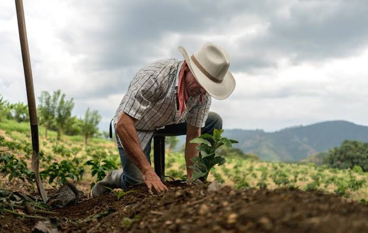 Aumento da taxa de juros do FCO eleva custo do crédito para produtor rural