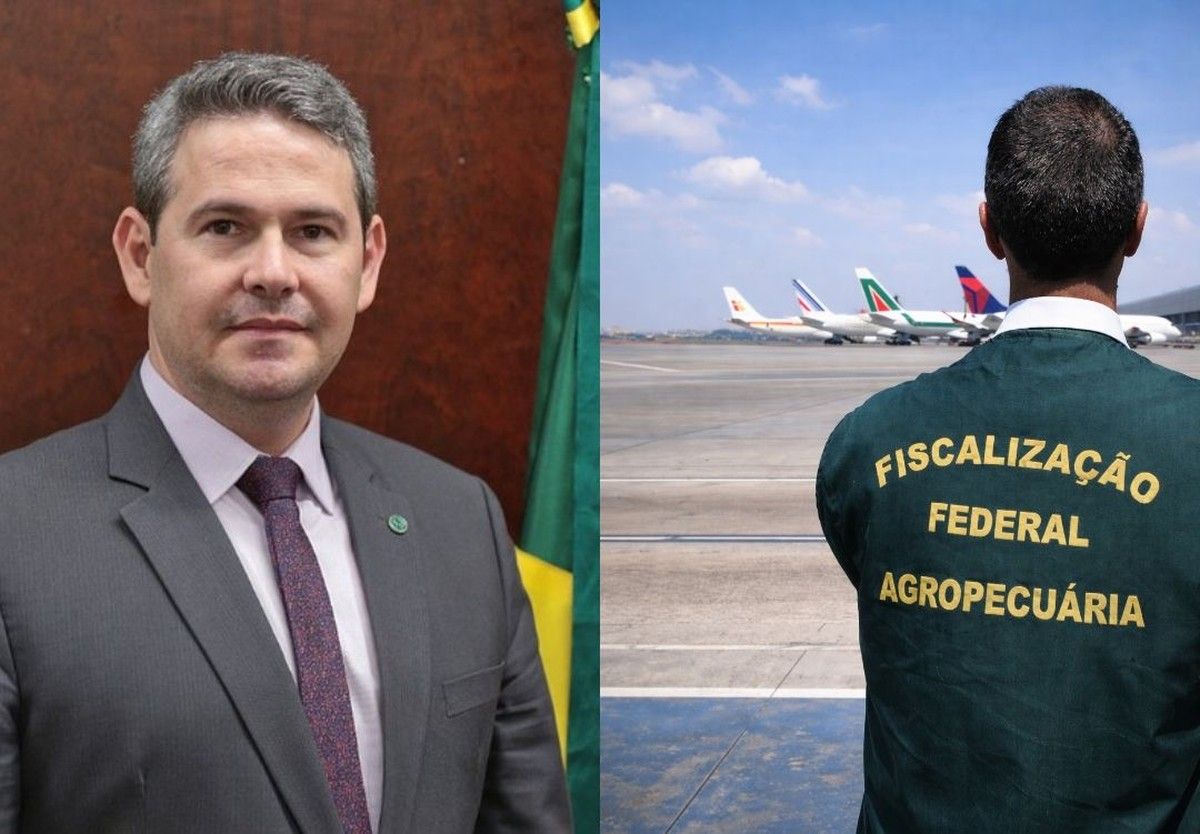 Brasil terá novas regras para entrada de produtos agropecuários na bagagem de viajantes