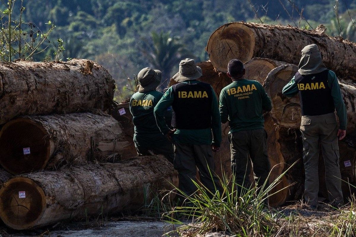 Justiça Federal condena infrator a pagar R$ 5,3 milhões por desmatamento na Amazônia