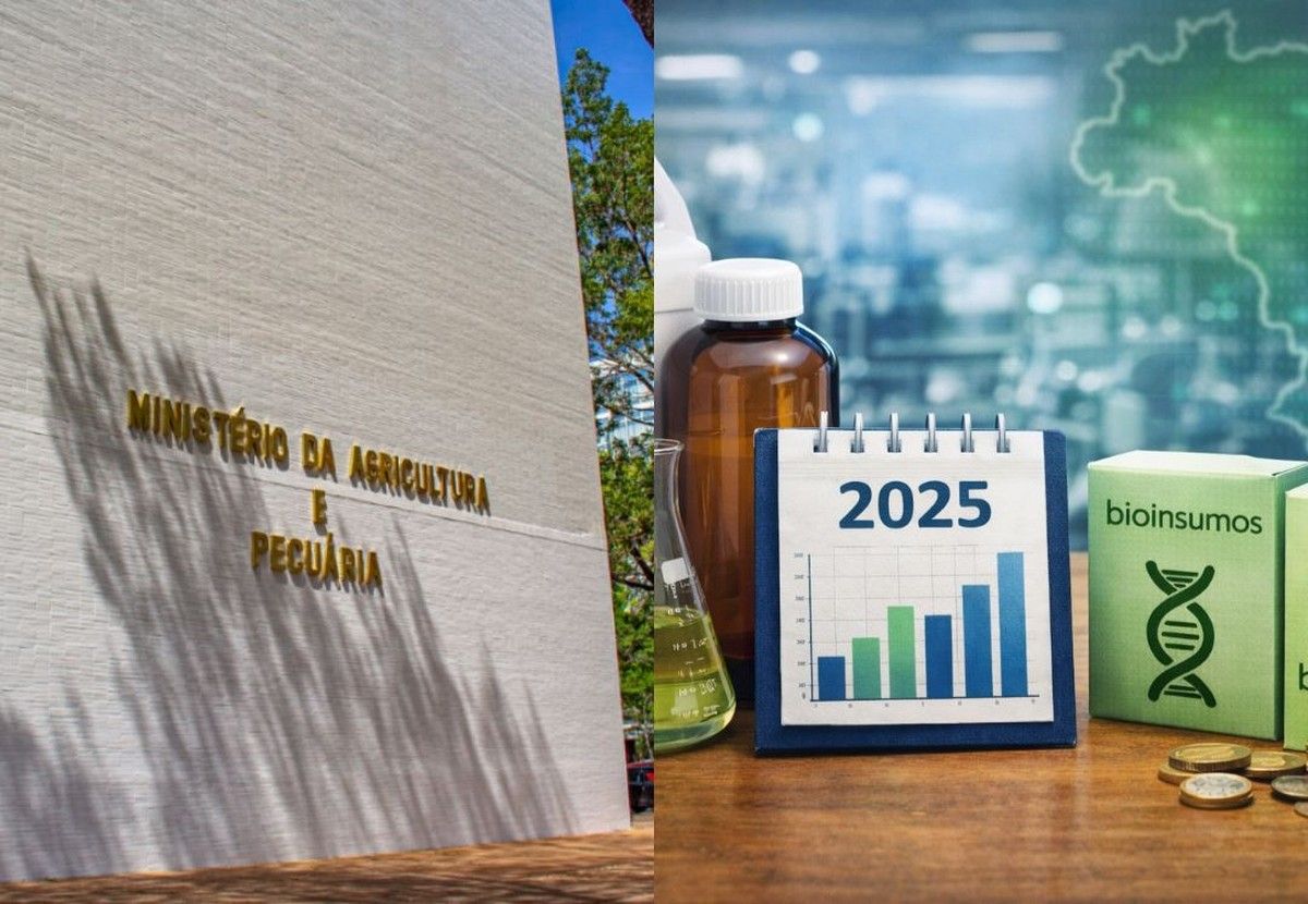 Mapa divulga balanço anual de registros de defensivos agrícolas e bioinsumos em 2025