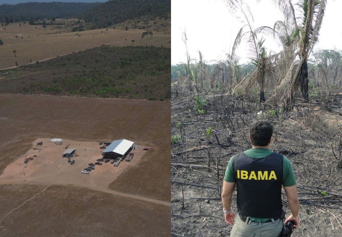Ibama aplica mais de R$ 111 milhões em multas no Pará