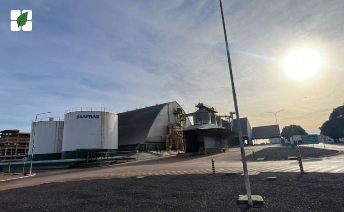 Justiça autoriza arrendamento de unidade do Grupo Safras em Cuiabá