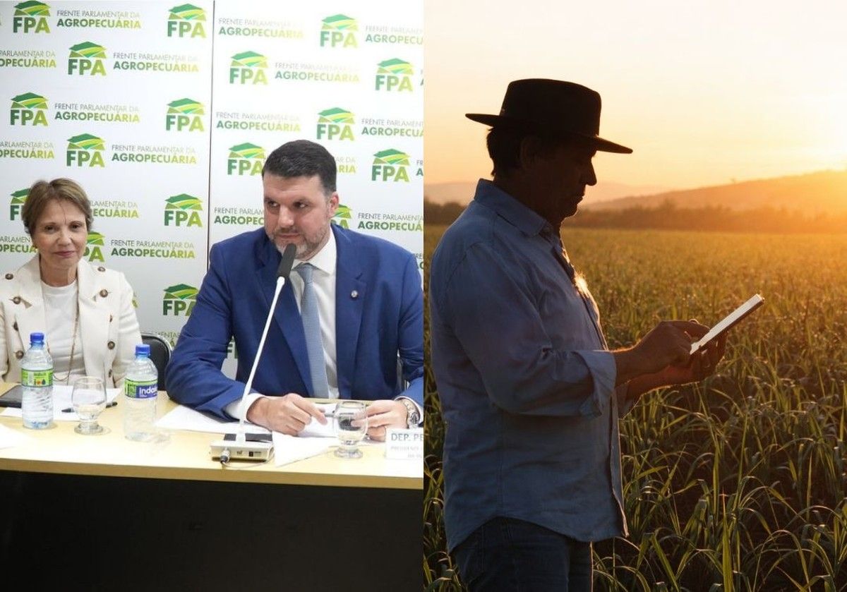 Câmara aprova urgência do PL 2951/2024 e acelera reforma do marco legal do seguro rural