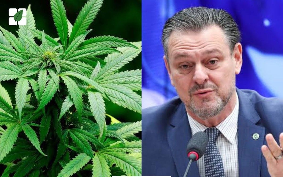 Ministro da Agricultura declara apoio à regulamentação do cultivo de cannabis para uso terapêutico