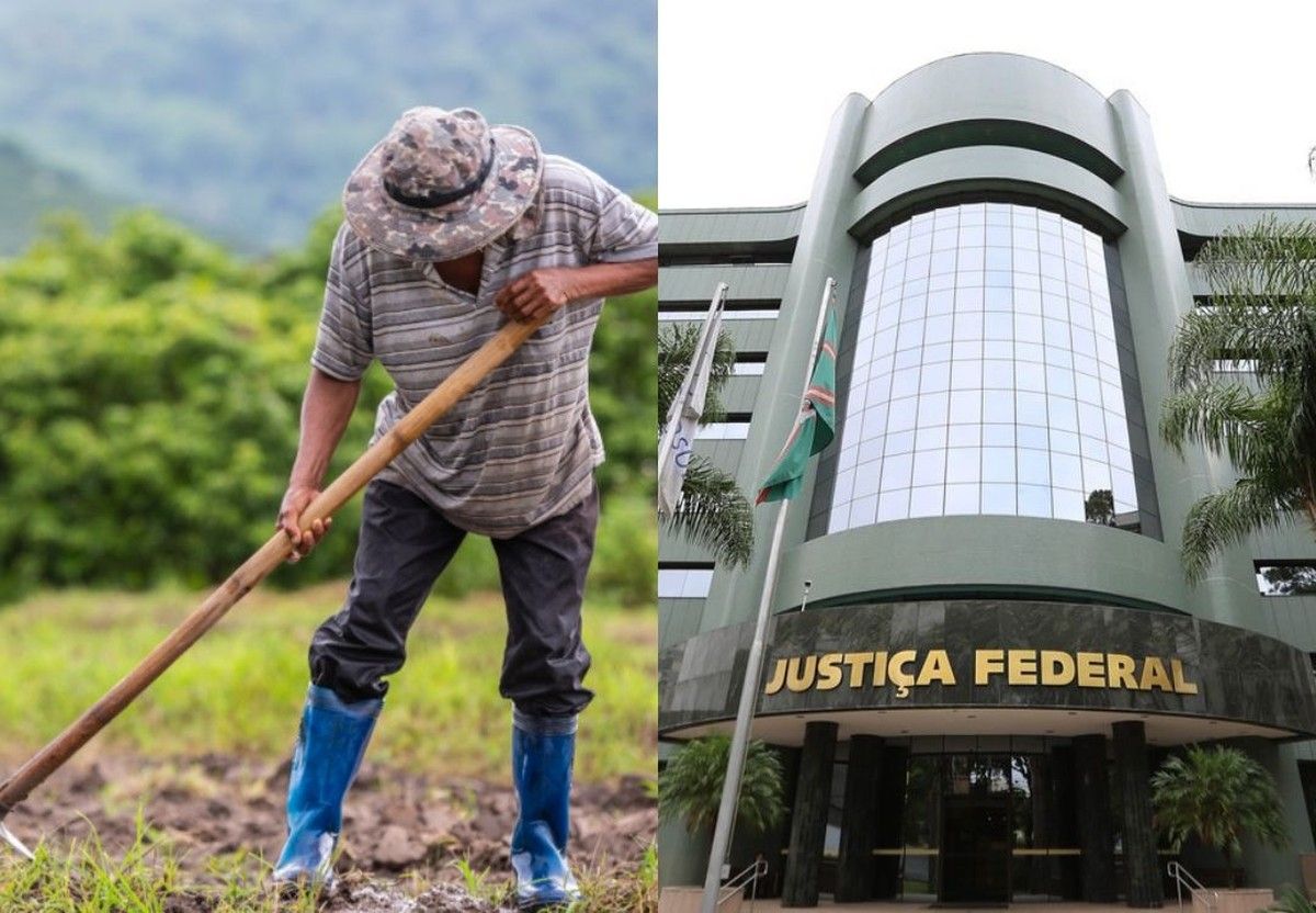 Justiça Federal do PR concede auxílio-acidente a agricultor com sequela mínima