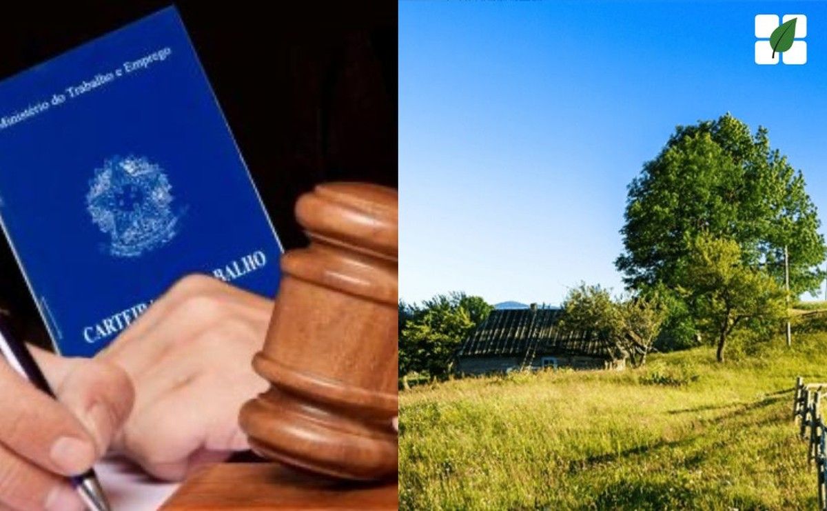 Fazenda em Goiás tem 20% de área penhorada pela Justiça do Trabalho