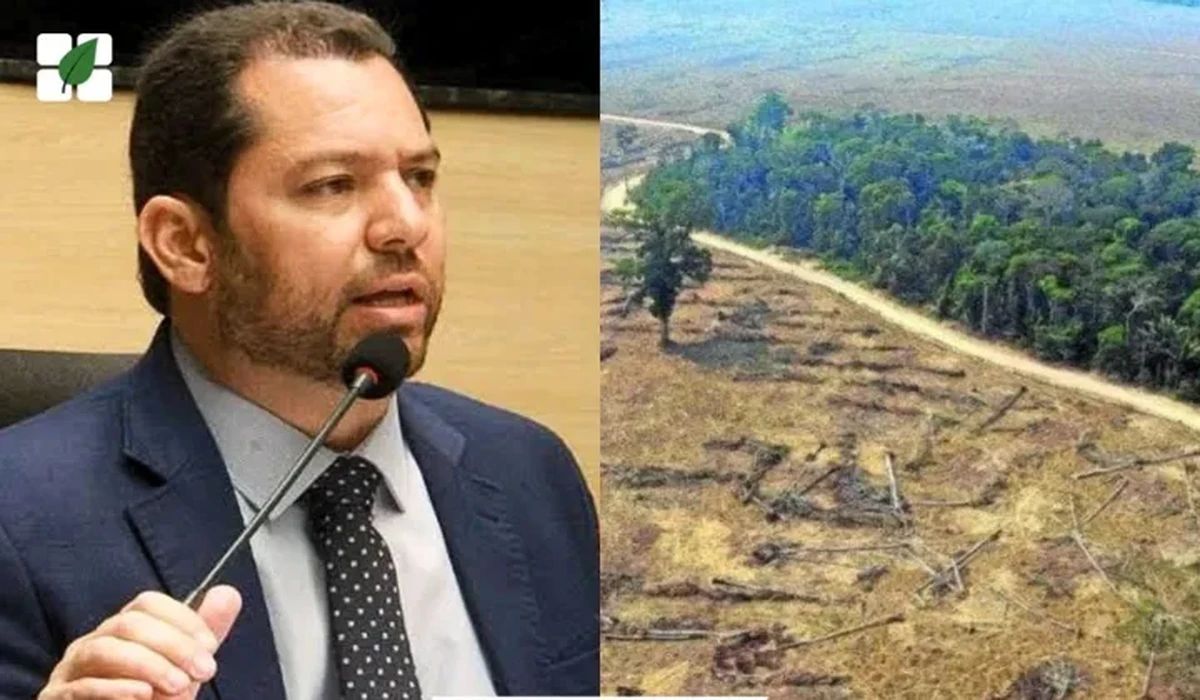 TRF1 anula multas ambientais de R$ 17 milhões por falta de prova concretas