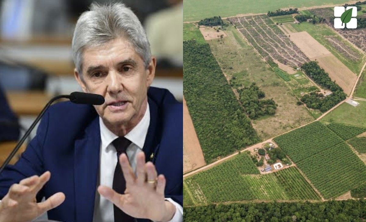 Senado aprova projeto que regulamenta ratificação de terras públicas em faixa de fronteira