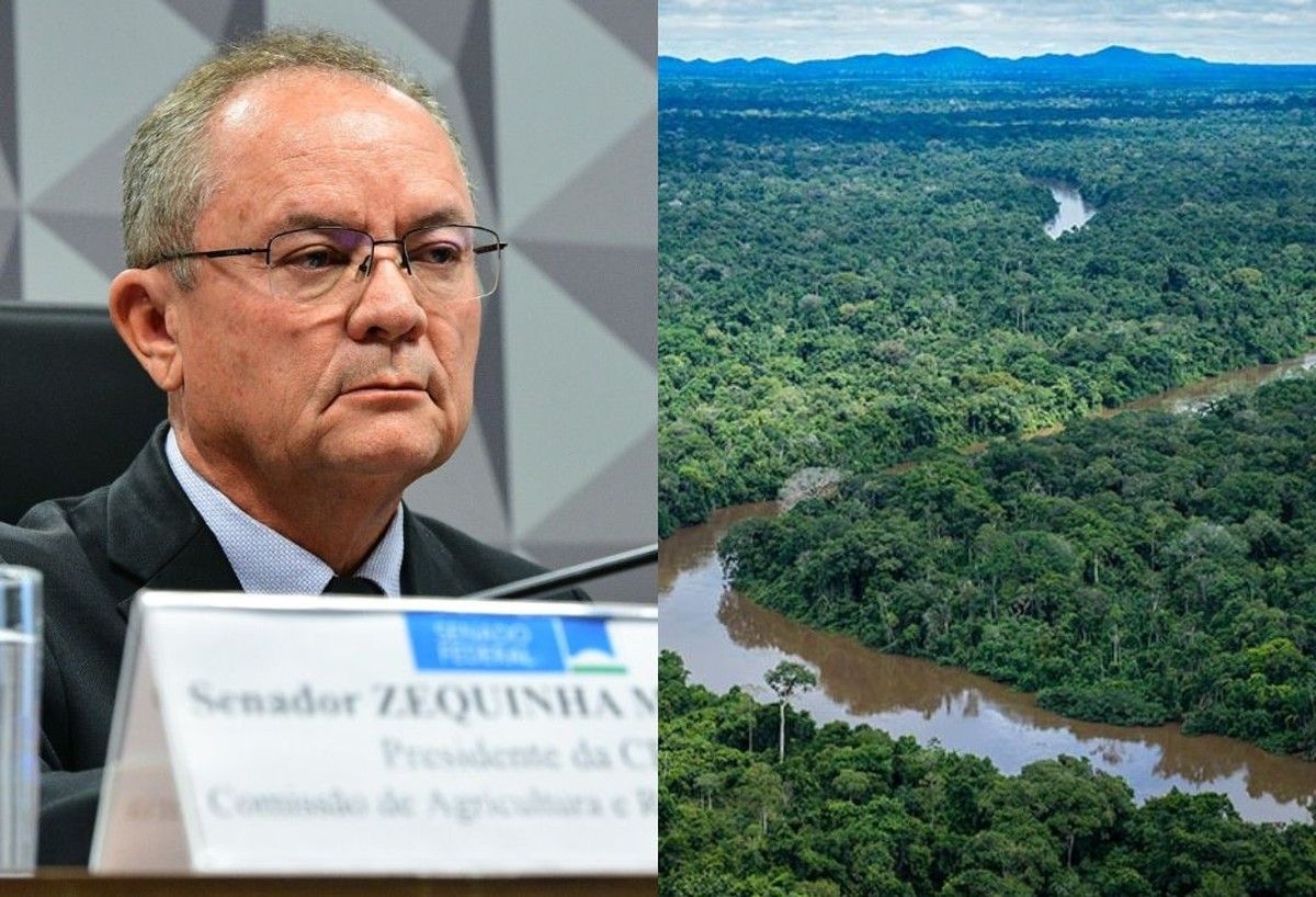 CRA do Senado encerra 2025 com avanços e 28 propostas aprovadas