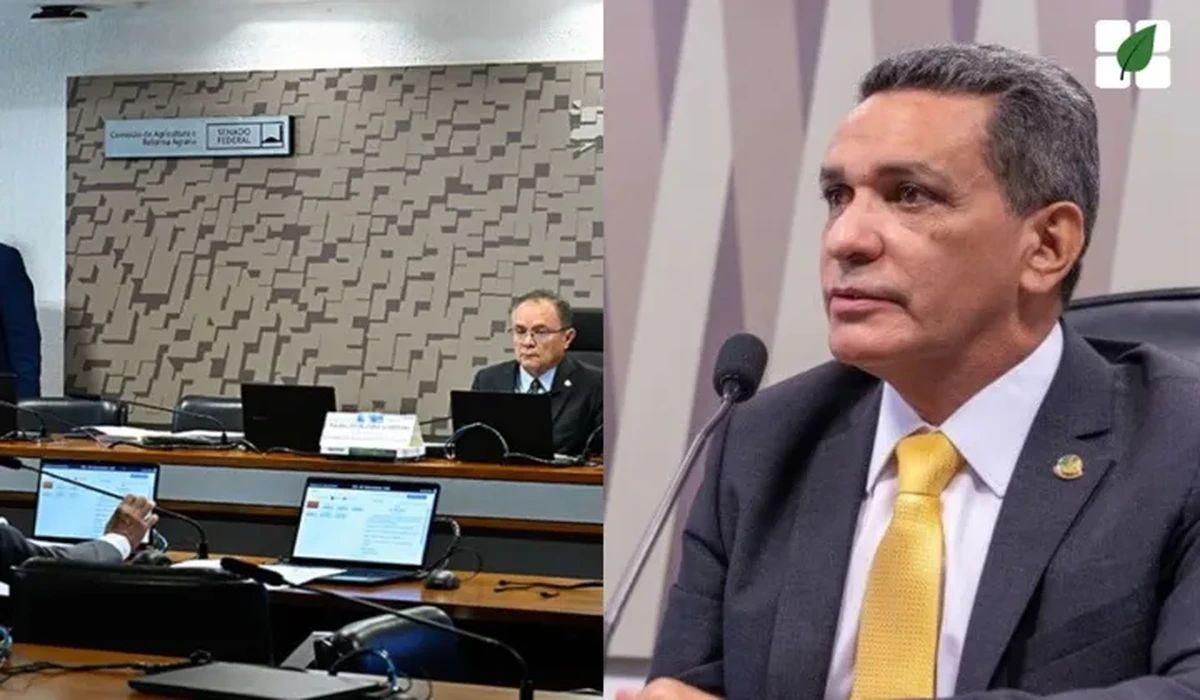 Senado realizará audiência pública para discutir o PL 1.217/2025
