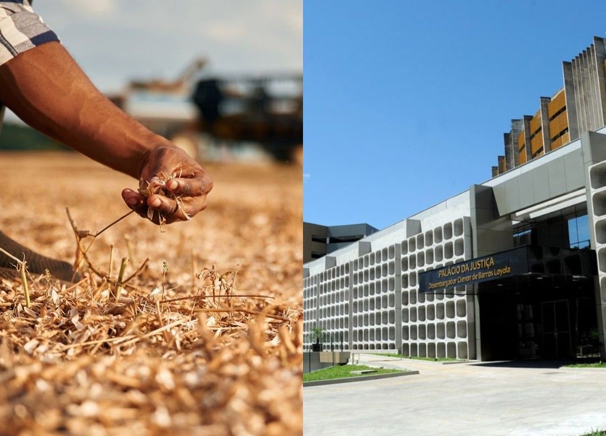 TJGO nega proteção a banco e suspende dívida em crédito rural por frustração de safra em Goiás