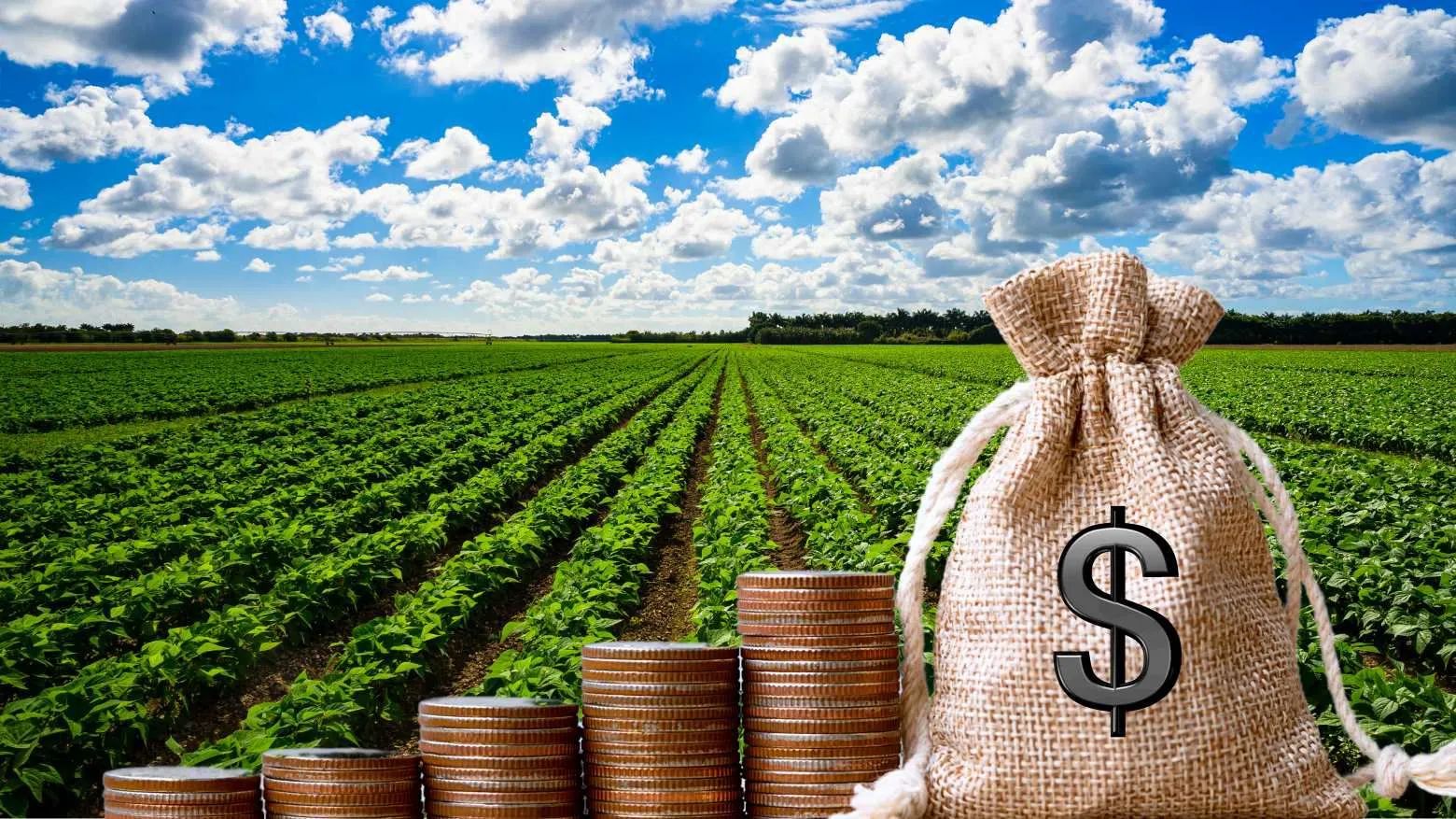 Justiça Federal afasta cobrança duplicada de Funrural e reduz débito de produtor