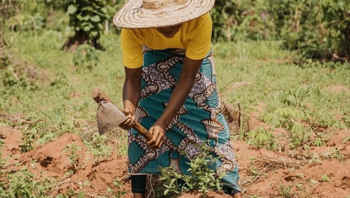 Justiça Federal concede aposentadoria por idade para trabalhadora rural