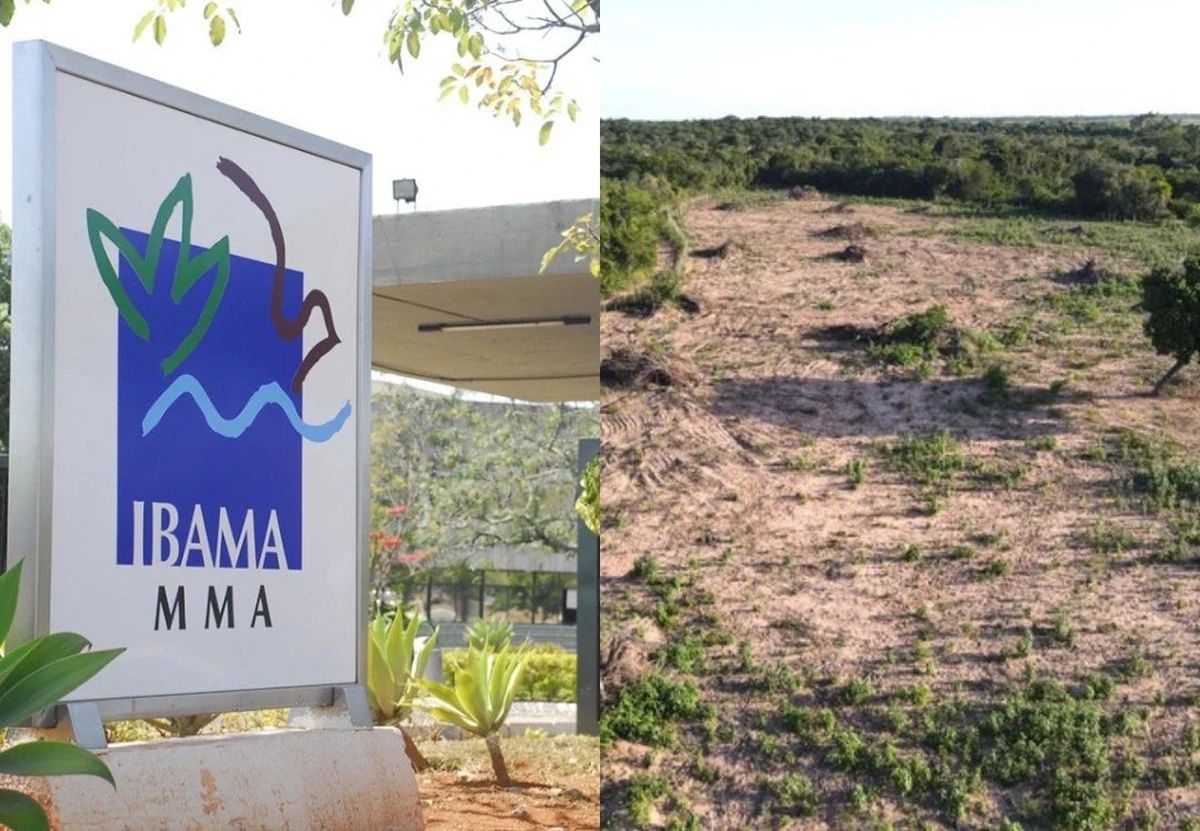 Ibama aplica em multas por descumprimento de recuperação ambiental em 3 estados