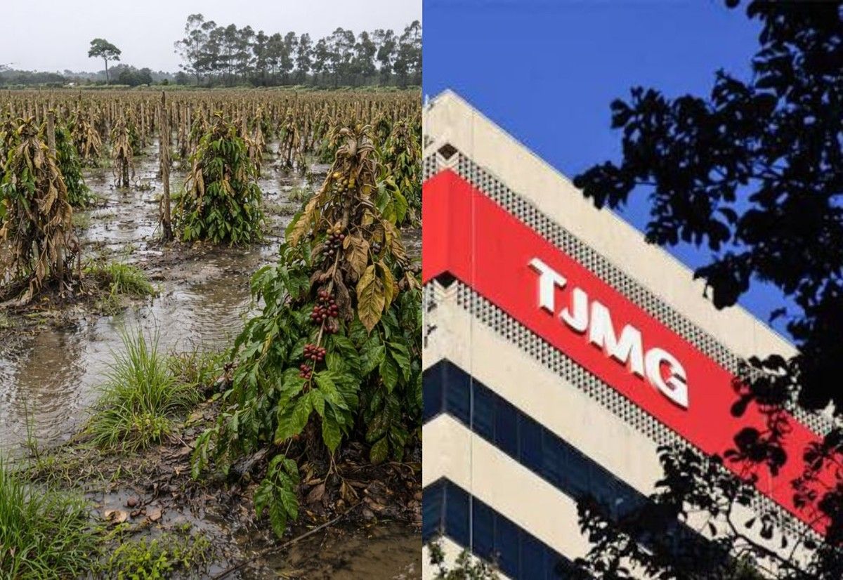 TJMG anula ação monitória e reconhece direito ao alongamento de dívida rural após 4 safras frustradas