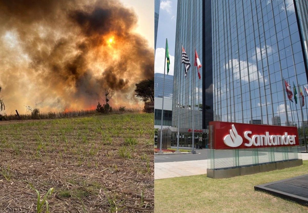 TJMT mantém suspensão de dívida rural do Santander por frustração de safra