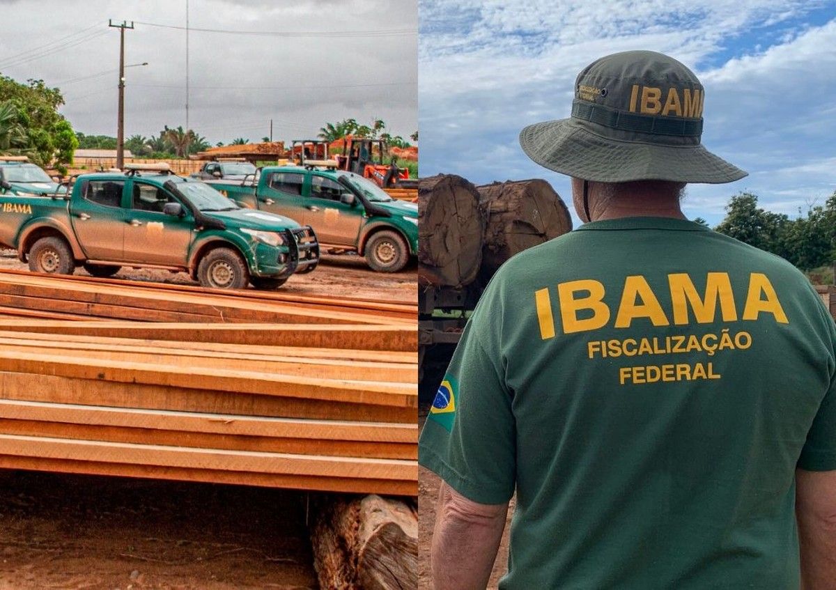 Ibama deflagra operação e embarga 26 serrarias no Pará por exploração ilegal de madeira