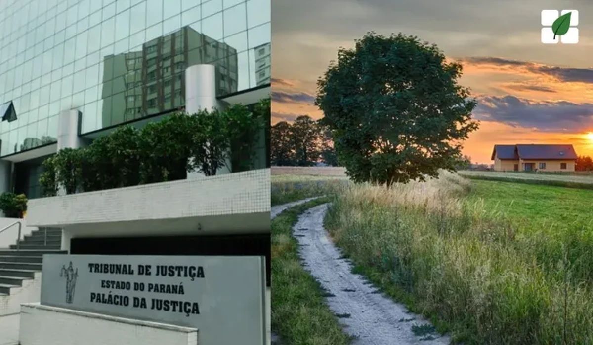 TJPR confirma obrigatoriedade de transferência da reserva legal em escritura de compra e venda de imóvel rural