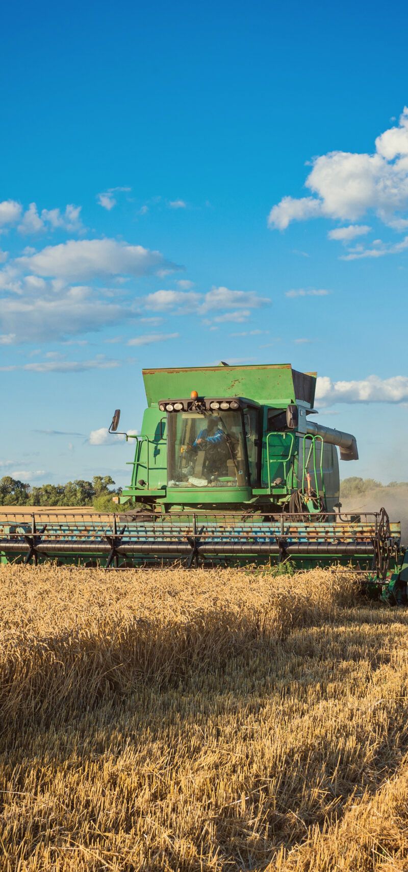 A aplicação atual do Estatuto da Terra aos contratos agrários envolvendo grandes empresas do agronegócio