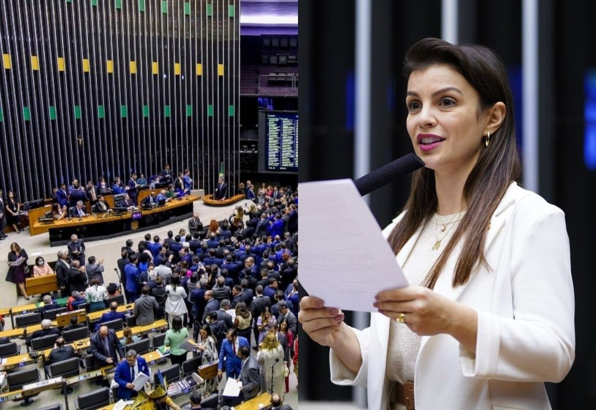Câmara aprova parecer do PLP 262/2019 que permite acesso de cooperativas aos fundos de desenvolvimento regional