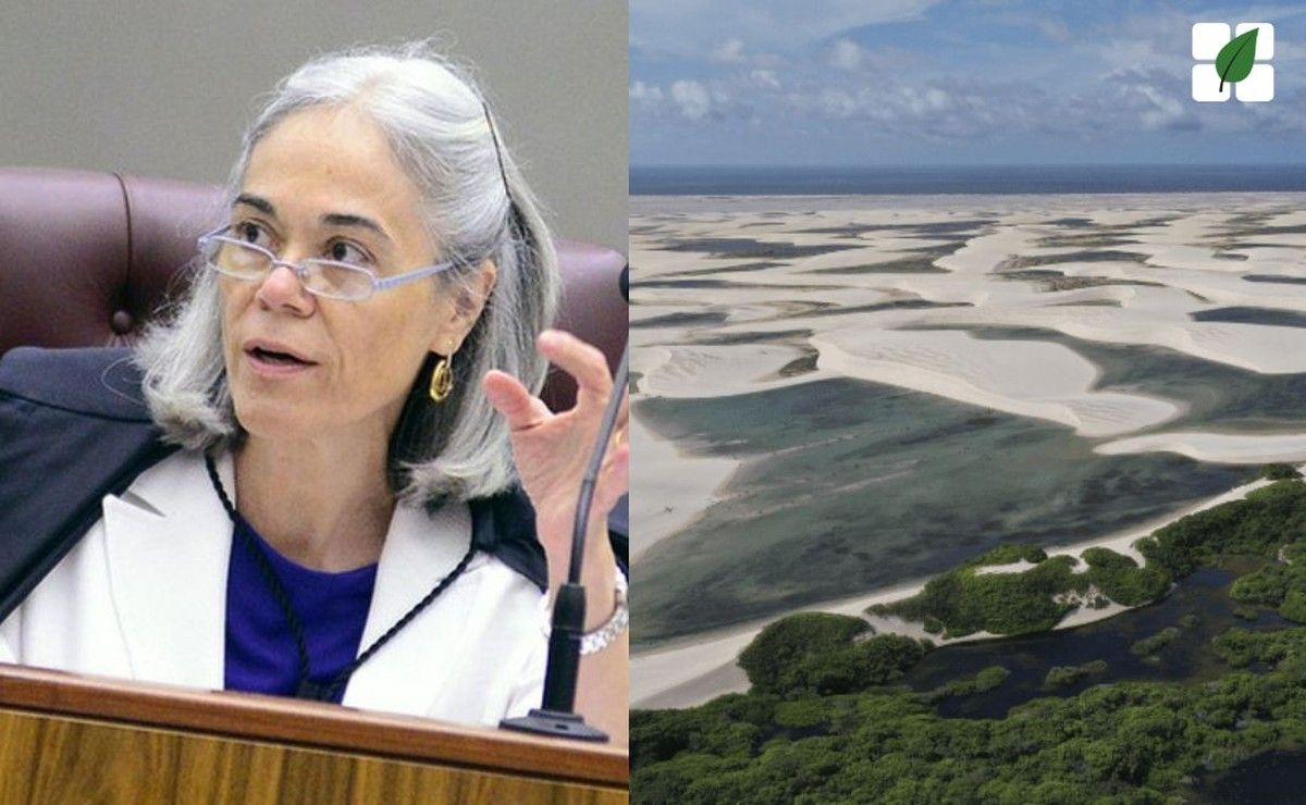 STJ rejeitou pedido do MP/SC e afirma que restinga é área protegida com função ecológica comprovada