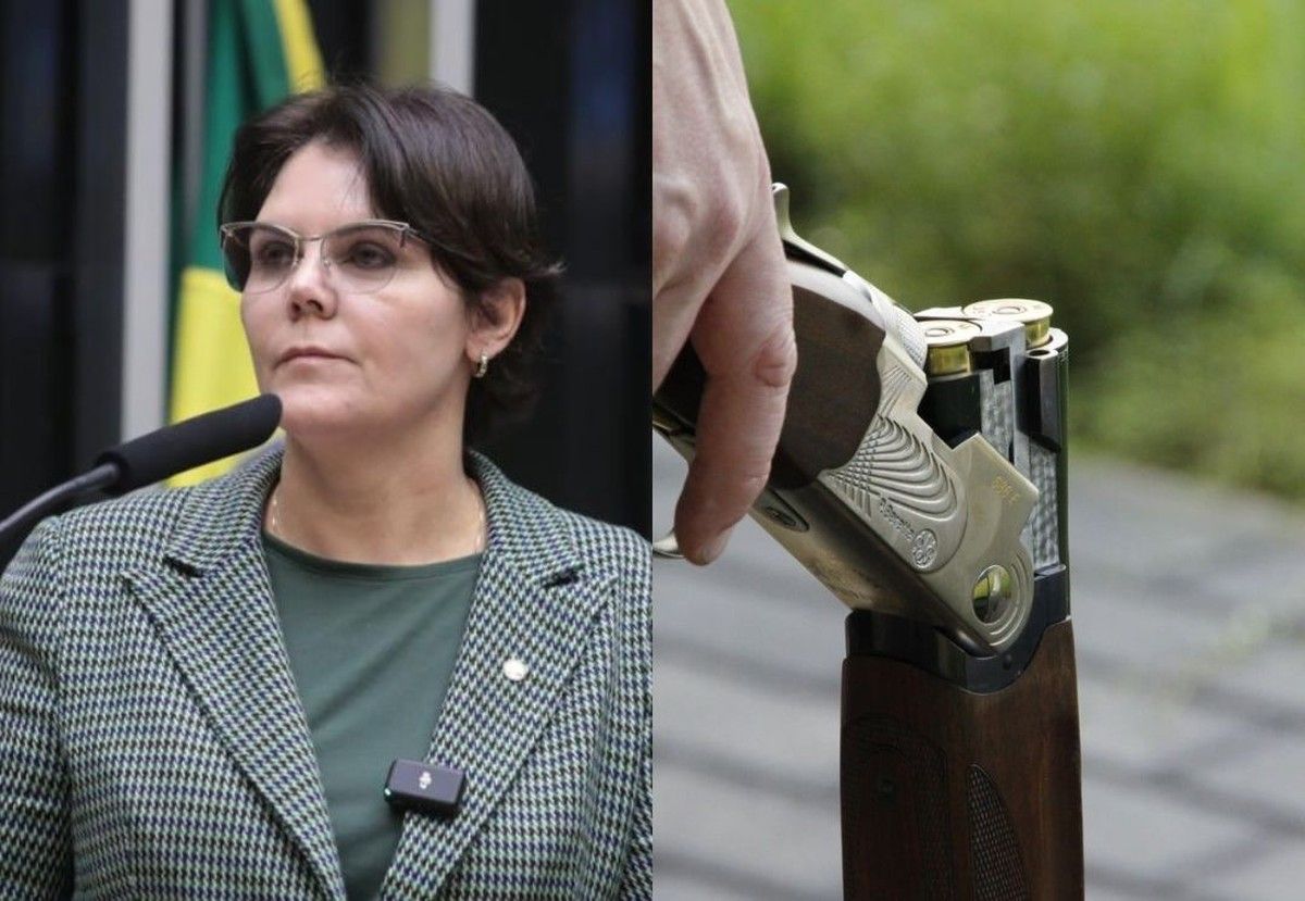 CCJC aprova PL que permite porte de arma de fogo para produtores