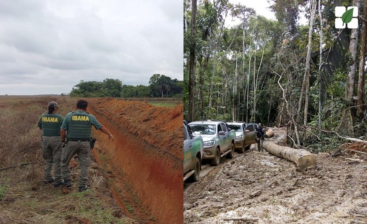 Ibama realizou operação no Cerrado Tocantinense