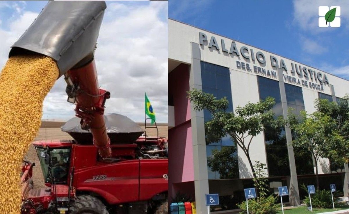 TJMT aceita deferimento do processamento de RJ e reconhece essencialidade de bens agrícolas de produtores rurais