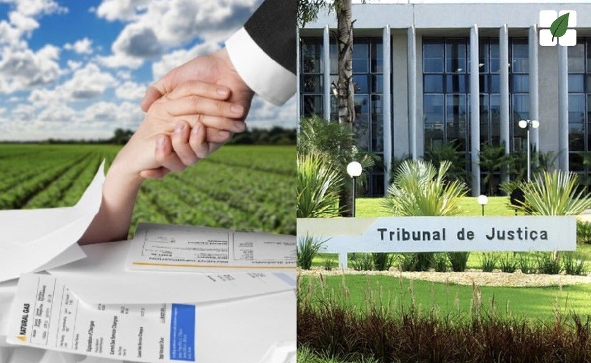 TJMS converte recuperação judicial em falência por atraso na entrega do plano