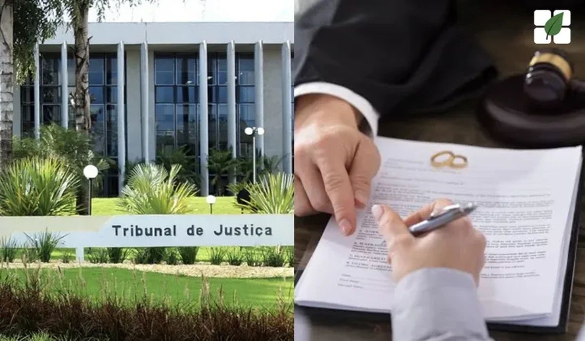 TJMS valida renúncia à sucessão concorrencial em pacto antenupcial